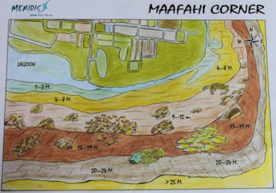 Maafahi Corner